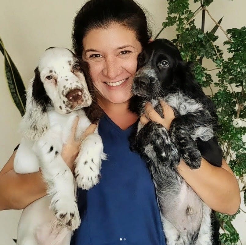 Foto 2 — Cuidado felino