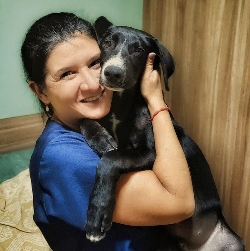 Foto 3 — Cuidado com a patinha