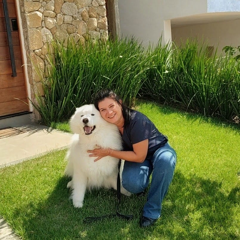 Foto 4 — Atendimento veterinário